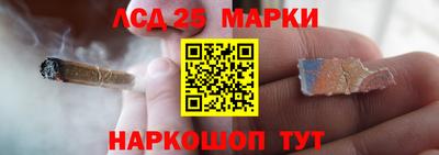 прущие грибы Тара